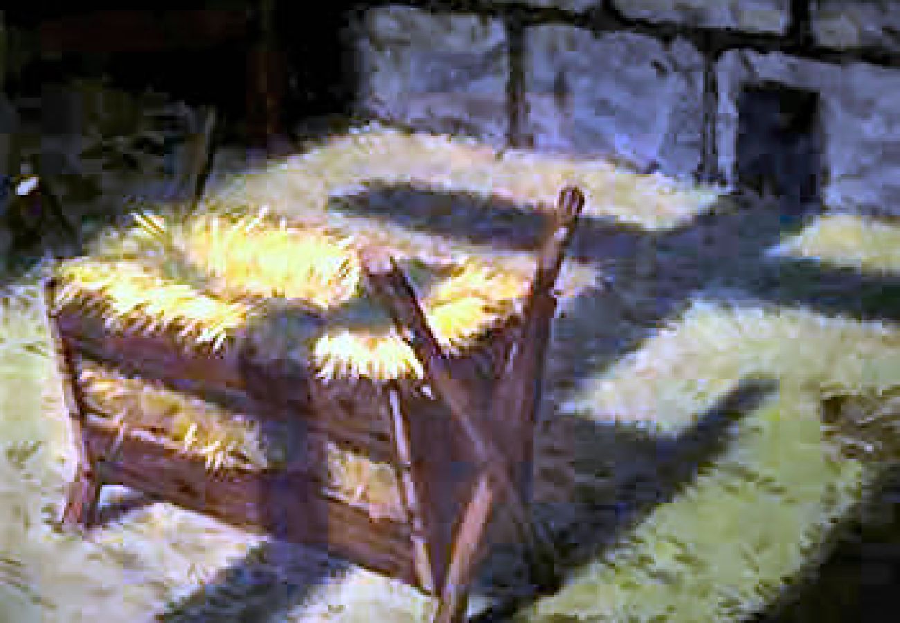LA MIRRA DE BALTASAR
