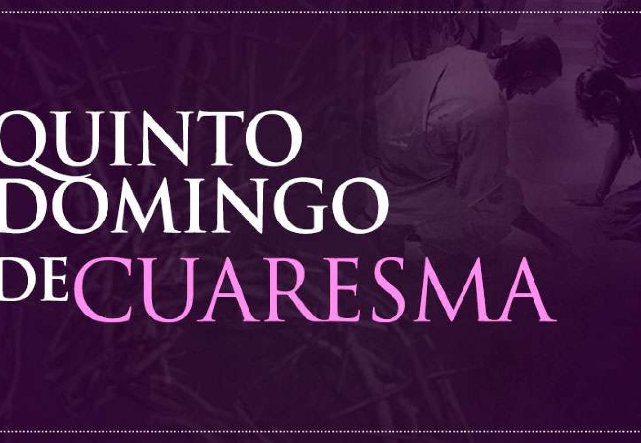 V Domingo de Cuaresma: "Seguir al Maestro es estar donde Él está"