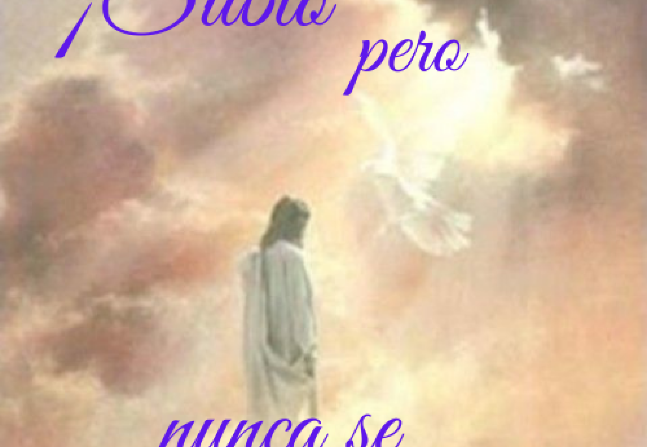 ¡SUBIÓ PERO NO SE MARCHÓ!